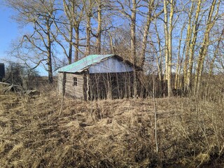 old and broken wooden house in the early spring during the day