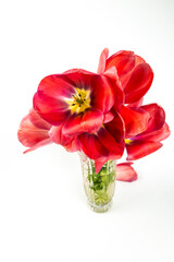 bouquet de tulipes rouges dans un vase en verre