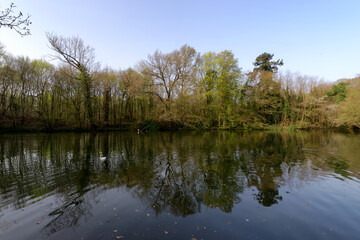Fototapeta na wymiar Minimes lake in the Vincennes wood. Paris 12th arrondissement