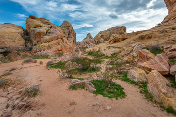 Beautiful layer of land in the Wave, Arizona. Landscape photography