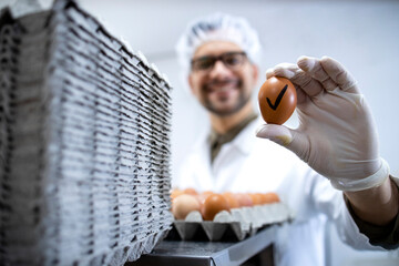 Food factory technologist standing by industrial eggs sorting machine and holding an egg that passed quality control test.