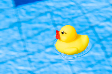Yellow rubber duck. Funny kids inflatable toy float in blue water of summer pool. Funny bird toy for kids.