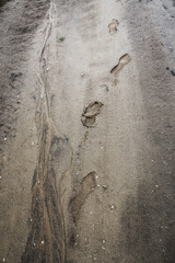 traces of rubber boots on the road after the rain