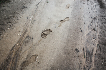 traces of rubber boots on the road after the rain