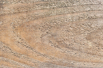 Old sandy weathered washed tainted wood texture with horizontal cracks annual rings and grains of river sand. Natural textured closeup dry plank background.