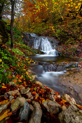 Fototapeta na wymiar autumn stream in the forest