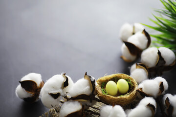 Bird's nest with eggs. Willow branches and first greens. Easter background. Palm Sunday. Christian holiday. Spring background.