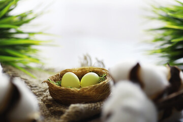 Bird's nest with eggs. Willow branches and first greens. Easter background. Palm Sunday. Christian holiday. Spring background.