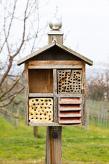 Insect hotel house in the free nature and garden.