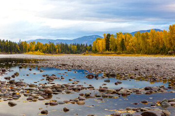 Autumn morning scene along the Flathead River in northwestern Montana with colorful foliage, river...