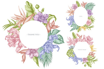 Floral frames with pastel monstera, banana palm leaves, strelitzia, heliconia, tropical palm leaves, orchid