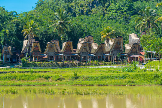 The village of Kete Kesu is one of the oldest, fully preserved settlements in Tana Toraja. Consisting of a compound of Tongkonan houses, a burial place, ceremonial place, rice fields and water buffalo