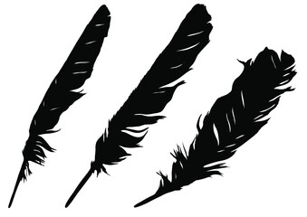 Collection of silhouettes of bird feathers.