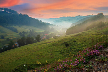 valley on the misty morning. village in the distance. grass and flowers on the hill in morning light. beautiful countryside scenery. red clouds on the sky