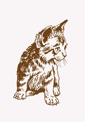 Sepia hand-drawn cat,  vector illustration of pet