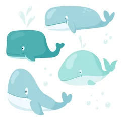 Wall murals Whale Vector cartoon set illustrations of whales of different shapes and sizes. Cute collection heroes of the seas and oceans for children books and decorations.