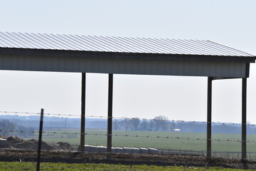 Animal Shelter