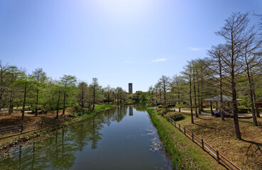 浜名湖ガーデンパーク内の川