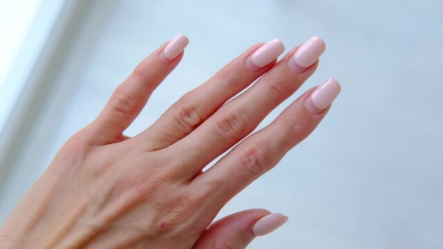 Female hands with old worn long lasting painted nails with  pastel pink gel polish cover.  Overgrown manicure. Time for correction gel polish. Nail care concept. Woman shows regrowth of her nails.