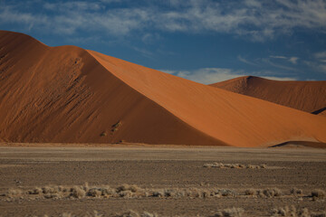 Fototapeta na wymiar Sand dunes in Namib Naukluft National Park of Namibia, Southern Africa
