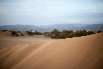 Reserva Natural Especial de Las Dunas de Maspalomas on Gran Canaria