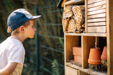 Petit gar&ccedil;on observe un h&ocirc;tel &agrave; insectes en &eacute;t&eacute;