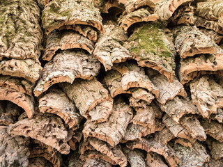christmas market detail in Barcelona, spain
