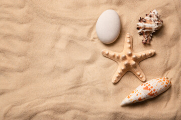 Fototapeta na wymiar Shells and starfish on the sand. Top view. Copy space. Macro.