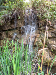 Cascade au milieu de la végétation