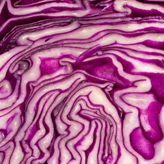 Obraz premium abstract macro shot of red cabbage cut