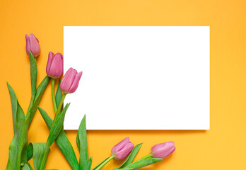 Layout and pink tulips on a yellow background. Greeting card for Mother's Day, International Women's Day. Spring background. copy space for text. Template for design. Flat lay, top view. mockup