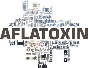 Aflatoxin vector illustration word cloud isolated on a white background.