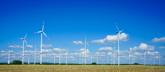 Many wind turbines are scattered in wheat field where wheat just begins to sprout. white clouds are...