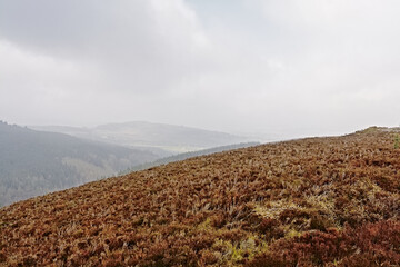 Cloudy Ticknock mountain landscape with dry brown heathland, Dublin, Ireland 