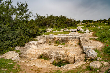 Fototapeta na wymiar A Wine Pressing Basin in Israel