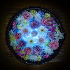 美しいカラフルな花