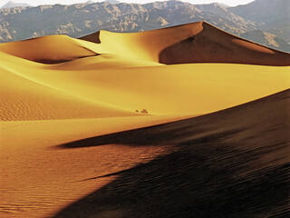 Fototapeta premium Sand Dunes