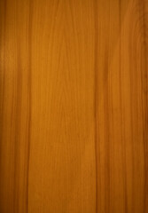 Wood texture background surface with beautiful natural pattern