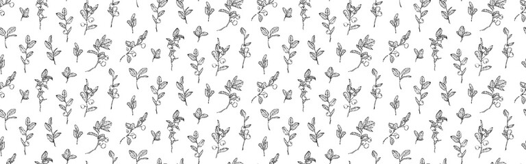 Hand drawn blueberry branches with leaves and berries seamless pattern. Sketch style endless backdrop. Botanical vector illustration