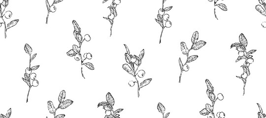 Hand drawn blueberry branches with leaves and berries seamless pattern. Sketch style vector illustration. Botanical endless backdrop