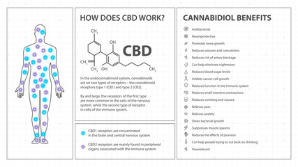 How does CBD works, white poster in minimalism style with infographics, cannabidiol chemical formula and cannabidiol benefits list