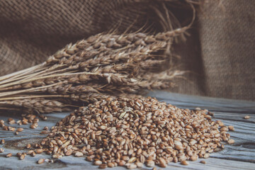 Obraz premium Still life. Grains and ears of wheat.
