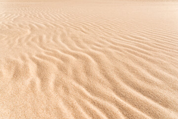 Small sand dunes on an idyllic beach on a sunny day, without people or footprints.