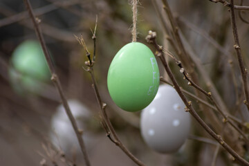 Many colorful Easter eggs in a tree show Easter holidays in plenty of different colors as celebration in Germany for spring and religious decoration in the garden and handmade Christianity symbols