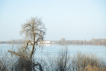 Aerial view of Danube river in Serbia. Beautiful nature image of Danube river