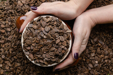 Watermelon seeds. Watermelon seeds on a green background