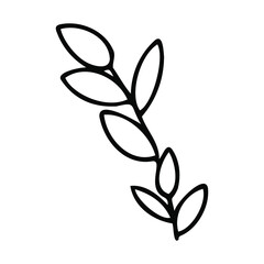 Vector twig drawn in the doodle style isolated on a white background. Linden branch.