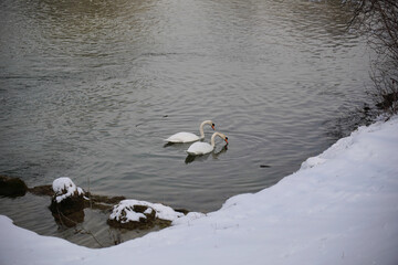 Mangfall-Spaziergang bei Bruckmühl