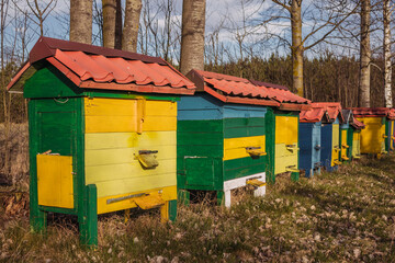 apiary, colorful beehives, apiculture, 
beekeeping