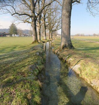 Spaziergang am Goldbach
